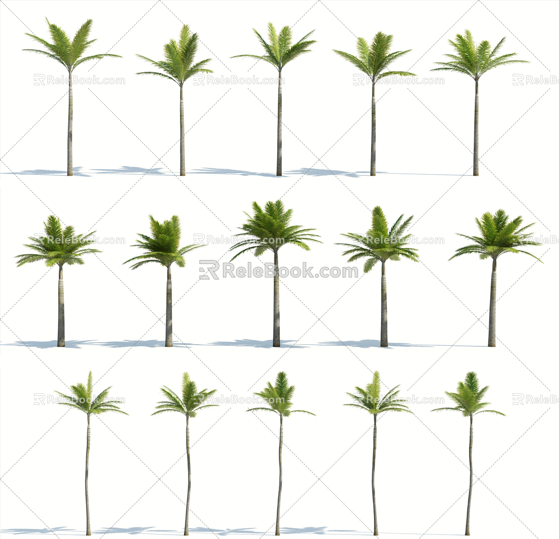 Modern Palm Tree 3d model