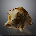Anatomical Study Of Human Organ Functions And Hair Growth Mechanisms