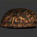 Detailed Reptile Turtle Shell Displaying Brown And Orange Patterned Textured Surface 3d model