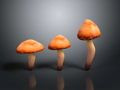 Three Orange Mushrooms with White Stems on Dark Background and Reflections 3d model