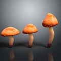 Three Orange Mushrooms with White Stems on Dark Background and Reflections