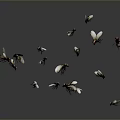 Group of Flies Flying Against Gray Background in Mid Air
