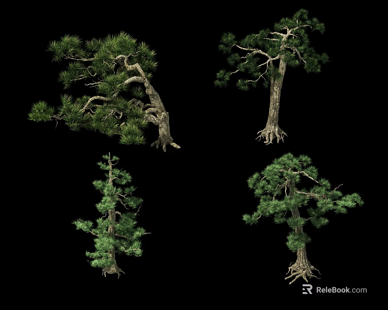 Different Forms of Arbor Trees with Green Foliage and Unique Trunks 3d model 