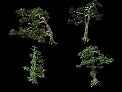 Different Forms of Arbor Trees with Green Foliage and Unique Trunks 3d model