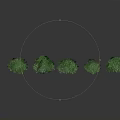 Green Plants Arranged in a Row with Standing Person Nearby