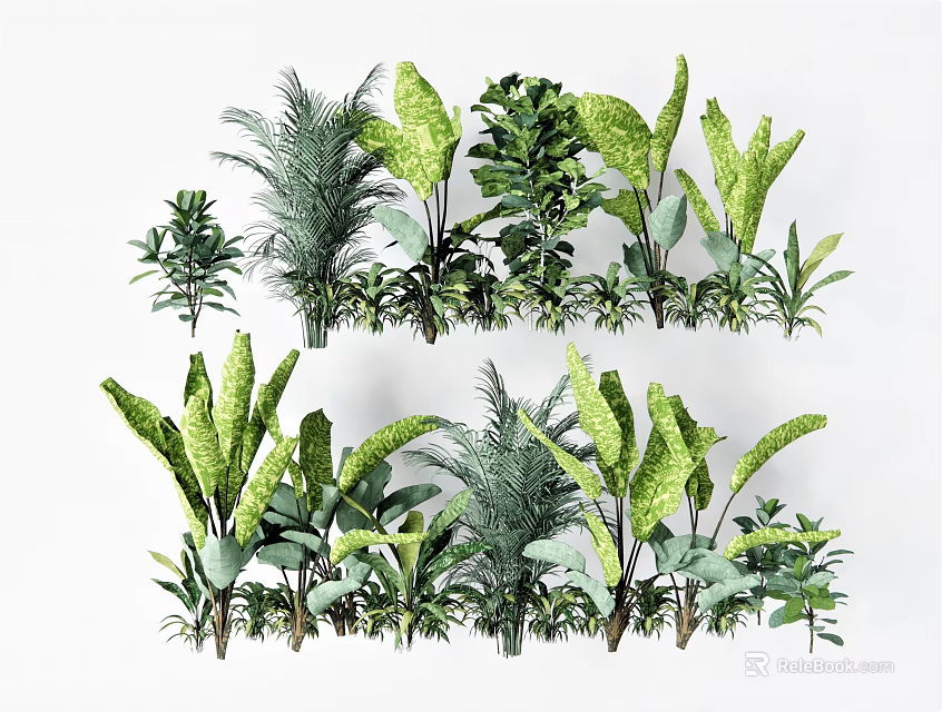 Different Types of Green Plants For Indoor Home Decoration And Design 3d model 
