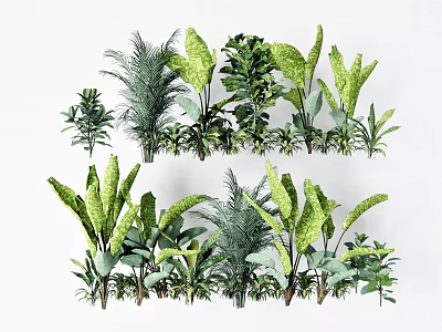 Different Types of Green Plants For Indoor Home Decoration And Design 3d model