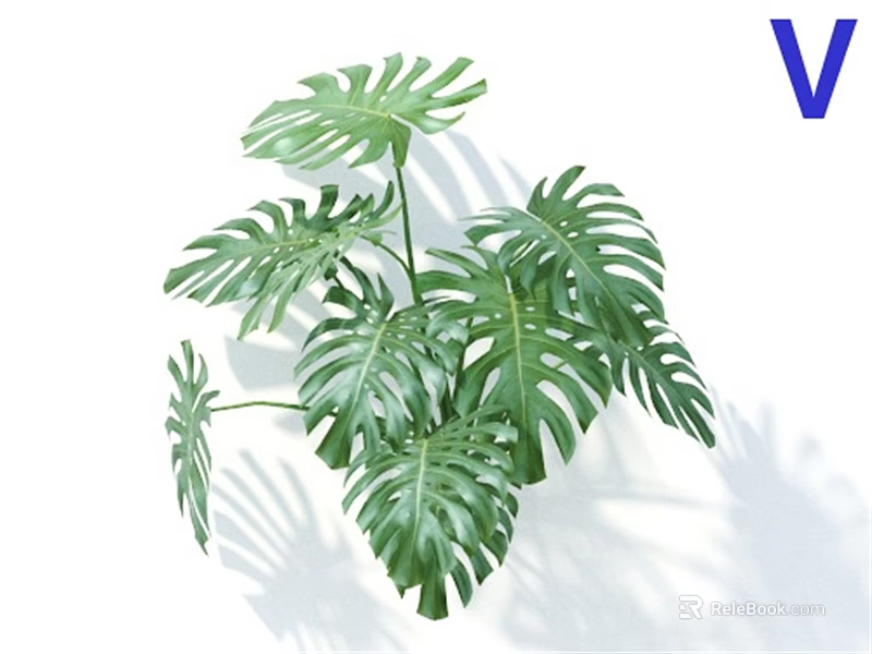 Lush Green Monstera Leaves Potted Plant with Fresh Foliage for Indoor Home Decor 3d model 