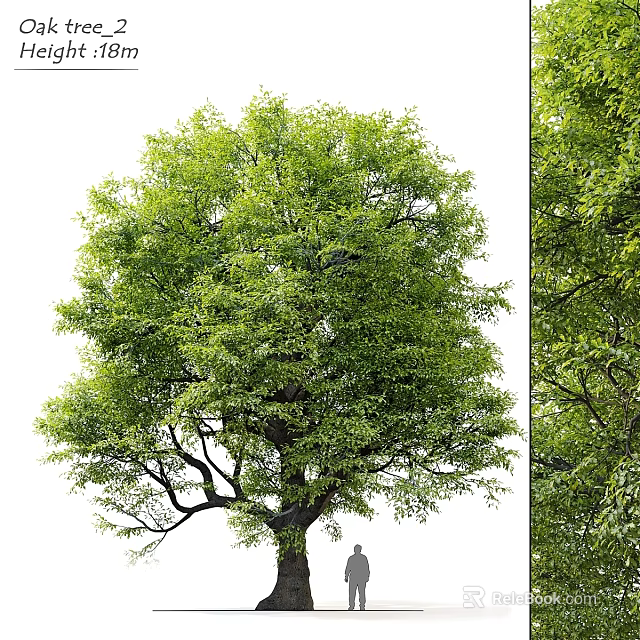 Artificial Green Tree Decorative Ornament Set With Lush Leaves For Home Decoration 3d model 