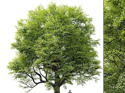 Artificial Green Tree Decorative Ornament Set With Lush Leaves For Home Decoration 3d model