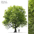 Artificial Green Tree Decorative Ornament Set With Lush Leaves For Home Decoration