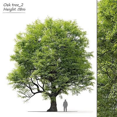 Artificial Green Tree Decorative Ornament Set With Lush Leaves For Home Decoration 3d model