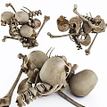 Gothic Decorative Ornament Set with Realistic Skulls and Skeleton Bones 3d model