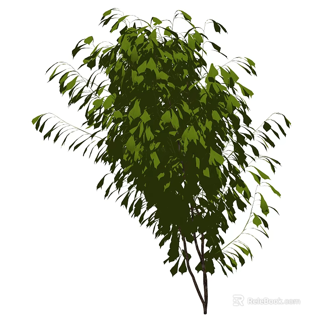 Lush Green Shrub With Dense Foliage And Vibrant Leaves In Garden 3d model 