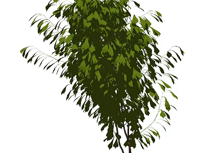 Lush Green Shrub With Dense Foliage And Vibrant Leaves In Garden 3d model
