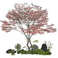 Garden Ornament Featuring Red Leaf Tree With Curved Trunk Stones And Mossy Plants