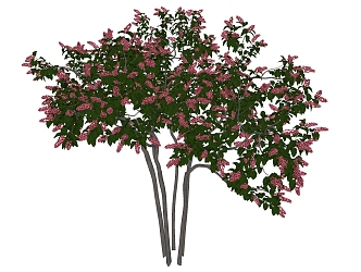 Modern Tree Landscape Tree 3d model