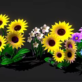 Vibrant Mixed Color Flowers Including Sunflowers Purple Blue Pink Blooms Arranged Against Black Background
