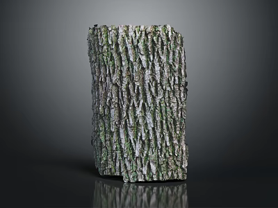 Natural Wood And Stone Decorative Material With Detailed Rough Textured Surface 3d model