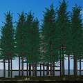 Tall Green Trees Standing by Water with Lush Grass and Blue Sky