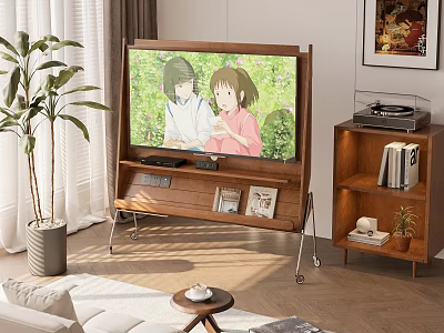 Wooden Storage Shelf Unit in Living Room with TV Green Plant and Books 3d model