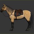 Equestrian Equipment Saddle and Bridle with Horse Riding Gear Setup
