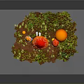 3D Rendered Mushroom Scene With Red Spotted Orange Small Red Mushrooms On Green Brown Ground