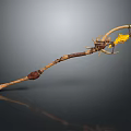 Fantasy Wooden Staff Weapon With Leather Straps And Yellow Spiked Top