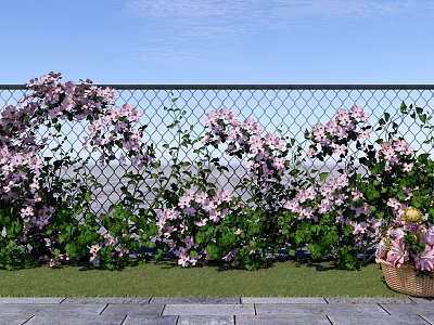 Beautiful Pink Flowers Climbing On Wire Mesh Fence With Green Grass And Woven Flower Basket 3d model