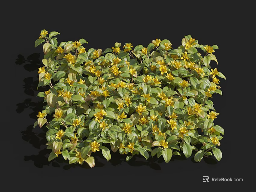 Lush Green Leafy Plants With Bright Yellow Flowers In Dense Growth 3d model 