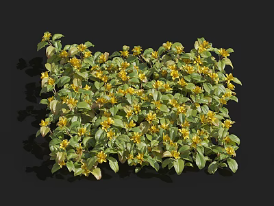 Lush Green Leafy Plants With Bright Yellow Flowers In Dense Growth 3d model