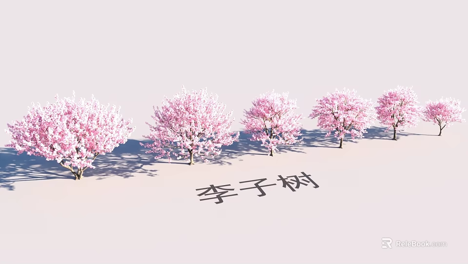 Garden Landscape Design With Row Of Blooming Plum Trees And Pink Blossoms 3d model 