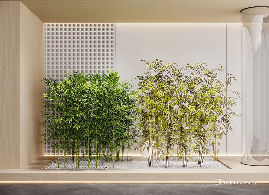 Indoor Dark And Light Green Bamboo Plants With Light Wall Decor And White Pebbles 3d model 