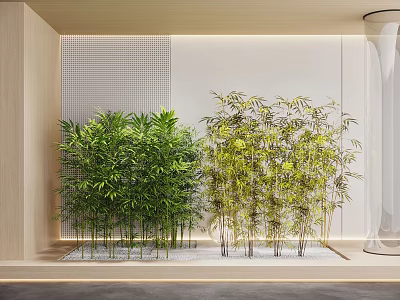 Indoor Dark And Light Green Bamboo Plants With Light Wall Decor And White Pebbles 3d model