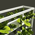 Vertical Farming Agricultural Equipment with Multi Tier Shelves for Growing Fresh Leafy Greens