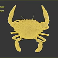 Realistic Brownish Crab With Large Claws Front View Isolated On Dark Background 3d model