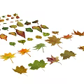 Vibrant Maple Leaves In Various Colors Scattered On White Background 3d model