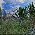 Lush Garden Shrubs Featuring Lavender Blooms And Green Foliage Under Cloudy Sky