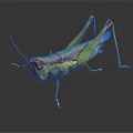 Modern grasshopper insect cartoon locust 3d model