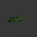 Artistic Green Leaf Curved Structure With Glossy Foliage On Gray Background 3d model