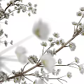 Transparent Glass Vase With White Small Flowers And Slender Branches In Fresh Decorative Style