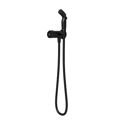 Black Handheld Shower Faucet With Flexible Hose And Modern Design 3d model
