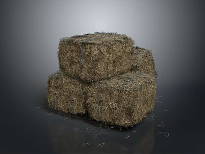 Natural Dry Hay Bales Stacked as Agricultural Plant Material in Rural Farm Setting 3d model