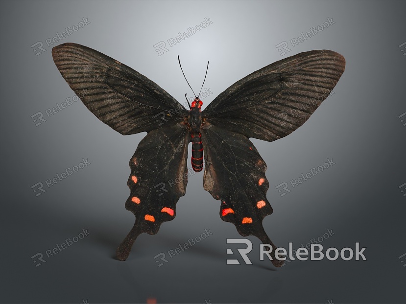 Modern Butterfly Black Butterfly Colored Butterfly Tiger Spot Butterfly model