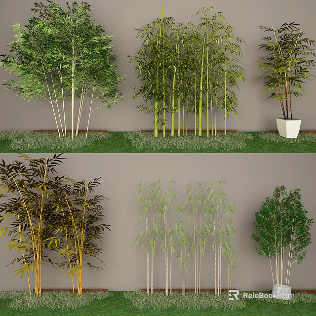 Various Types Of Bamboo Plants With Green Yellow Stems And Potted Varieties 3d model 