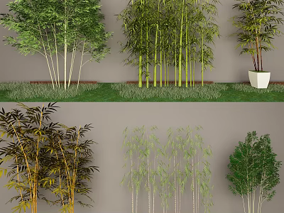 Various Types Of Bamboo Plants With Green Yellow Stems And Potted Varieties 3d model