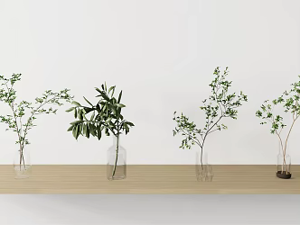 Modern Vase Potted Plant 3d model