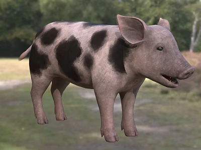 Black And White Spotted Reptile Standing On Grass With Trees In Background 3d model