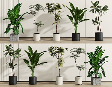 Green plant potted combination 3d model