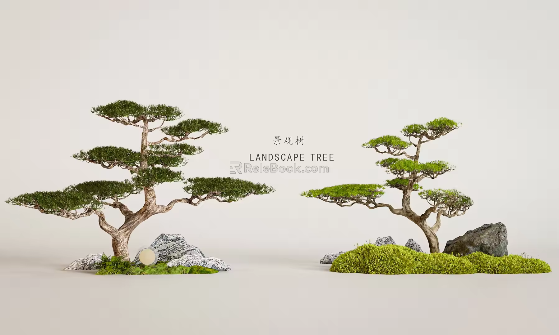 Landscape Tree Pine Tree Landscape Tree Courtyard Arbor Pine Tree Model Tree Welcome Pine Courtyard Sthem 3d model